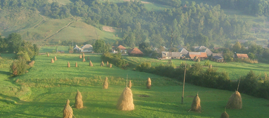 Ukraine Country Side
