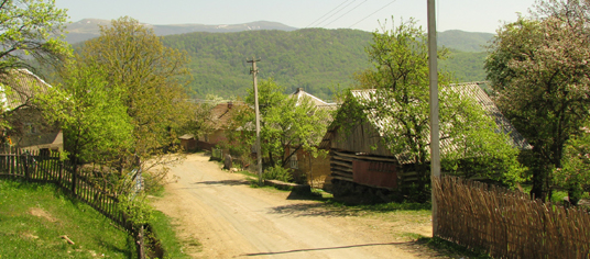 Ukrainian Village